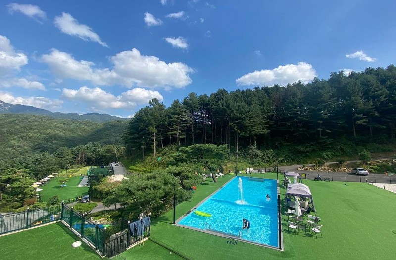 포천 더히로플레이그라운드펜션(애견)