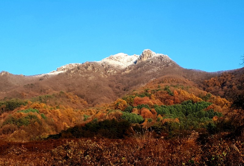 문경 타임스테이펜션