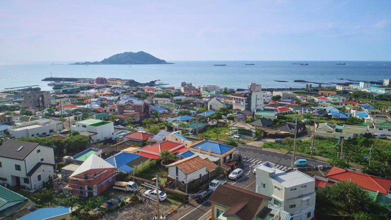 제주 노고록이 사진 2