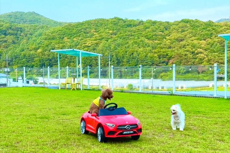 숙소 사진