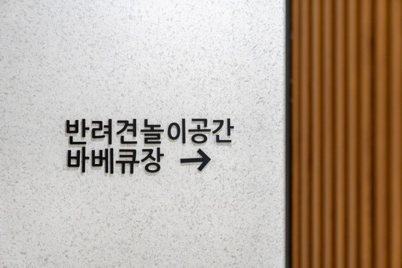 강릉 멍릉도원 애견펜션 사진 4