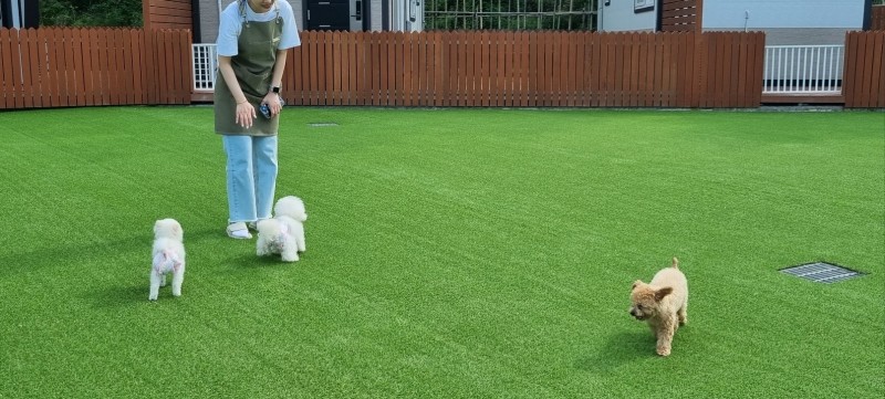 숙소 사진