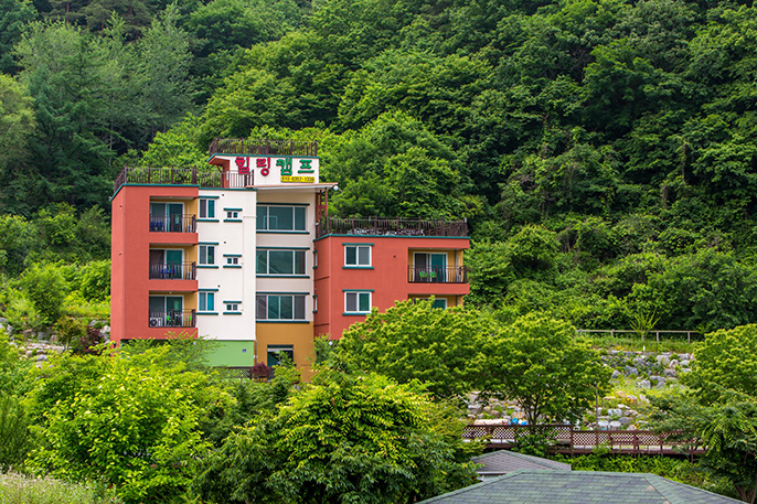 단양 힐링캠프펜션