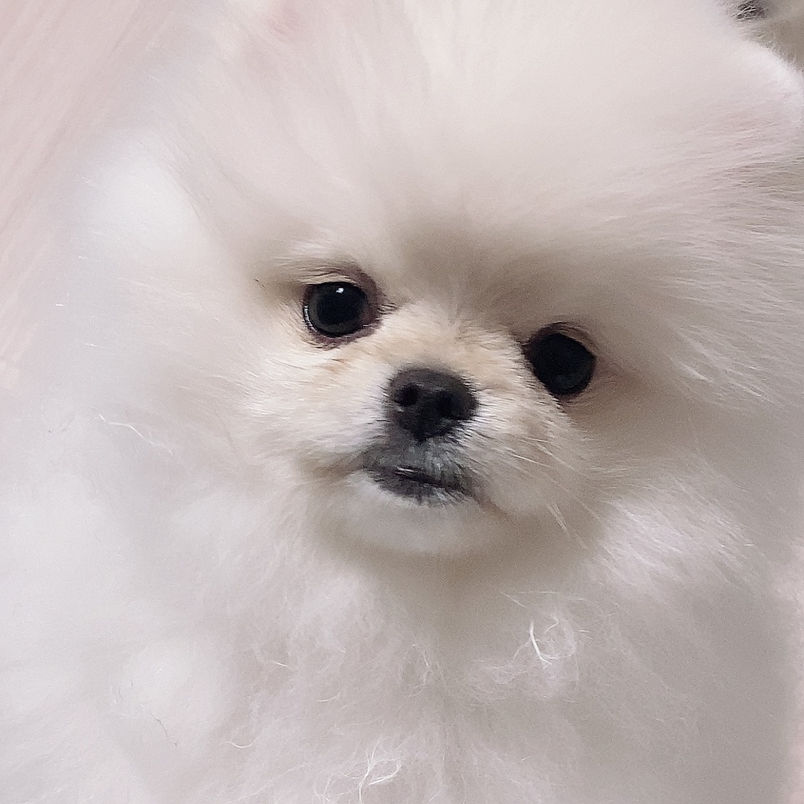 컨텐츠 에디터 이미지