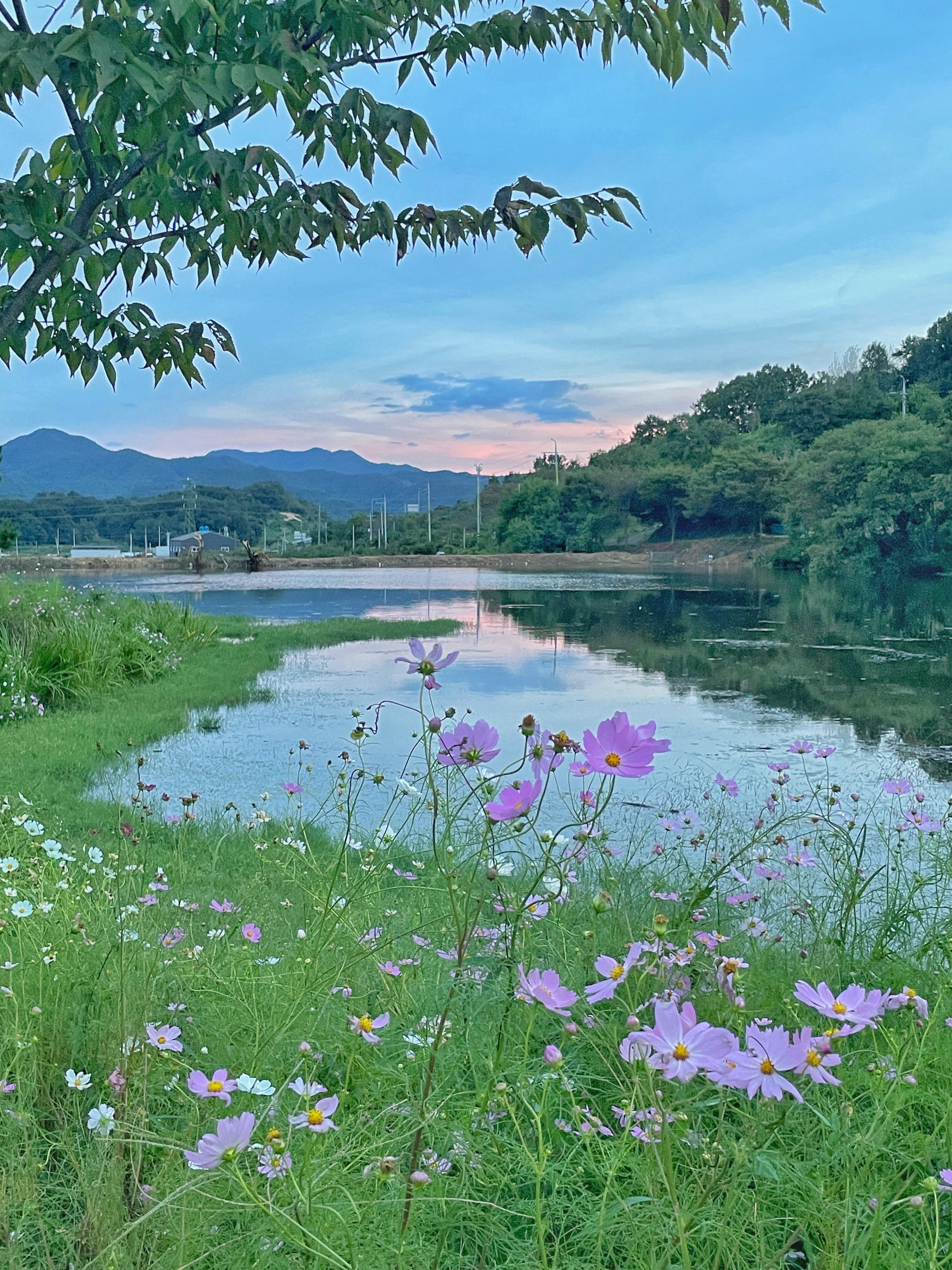 자티