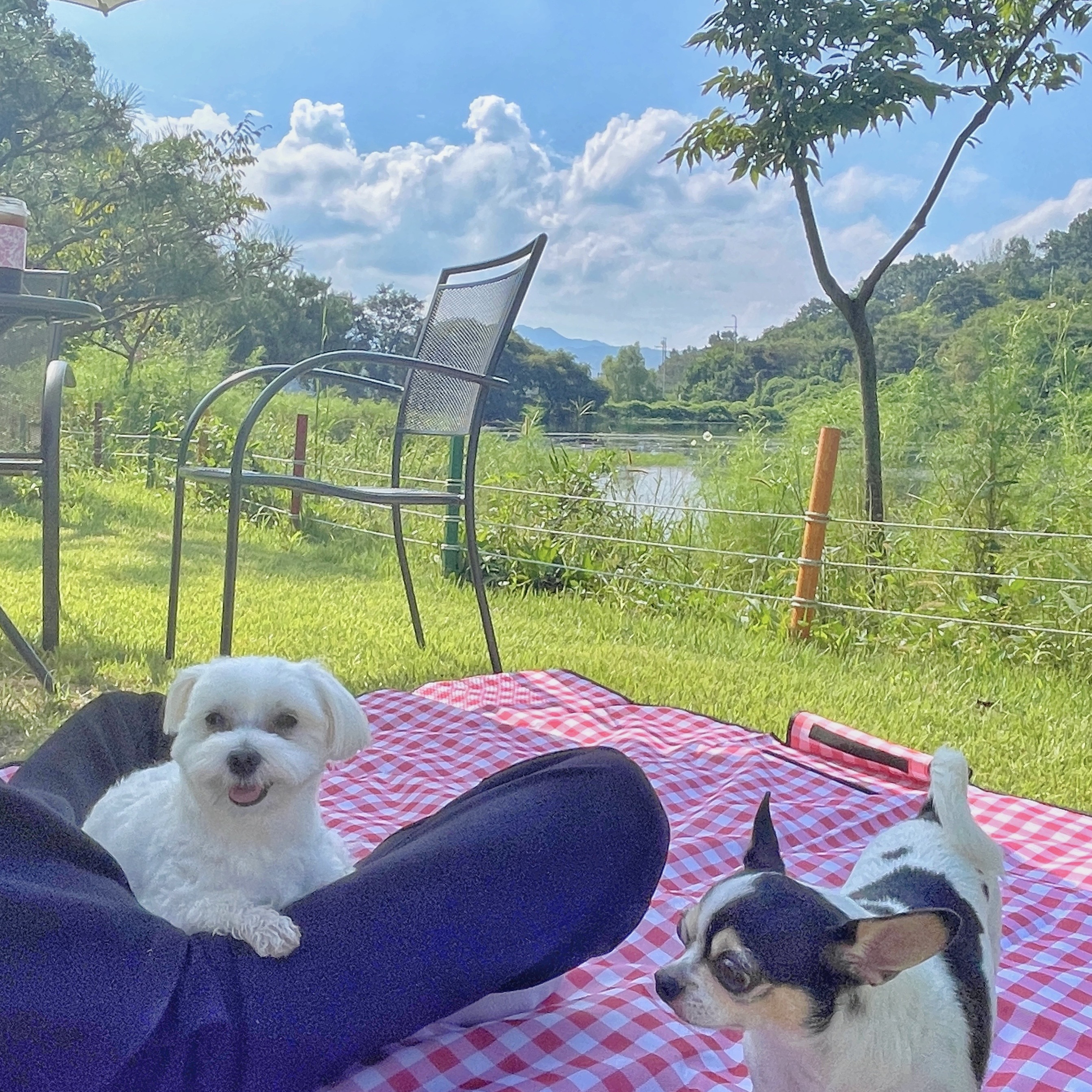 자티