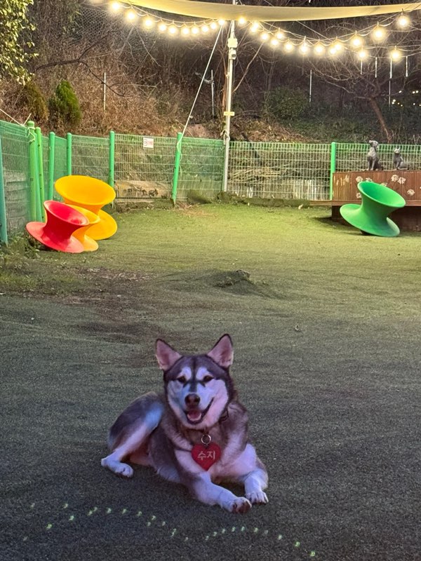 소태하늘체험농장