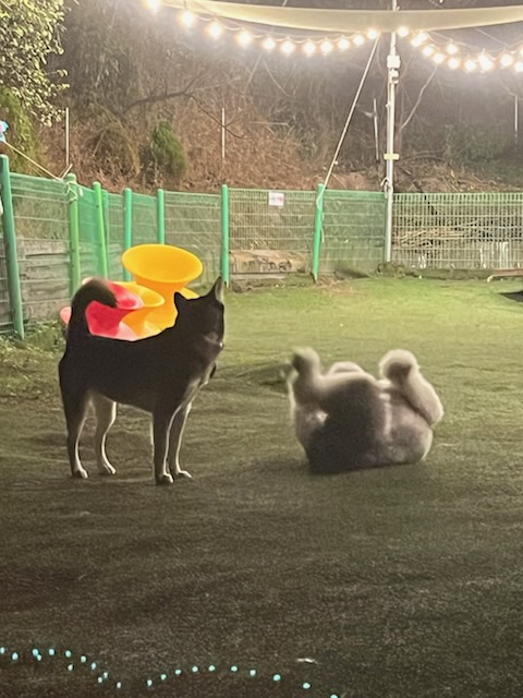 소태하늘체험농장