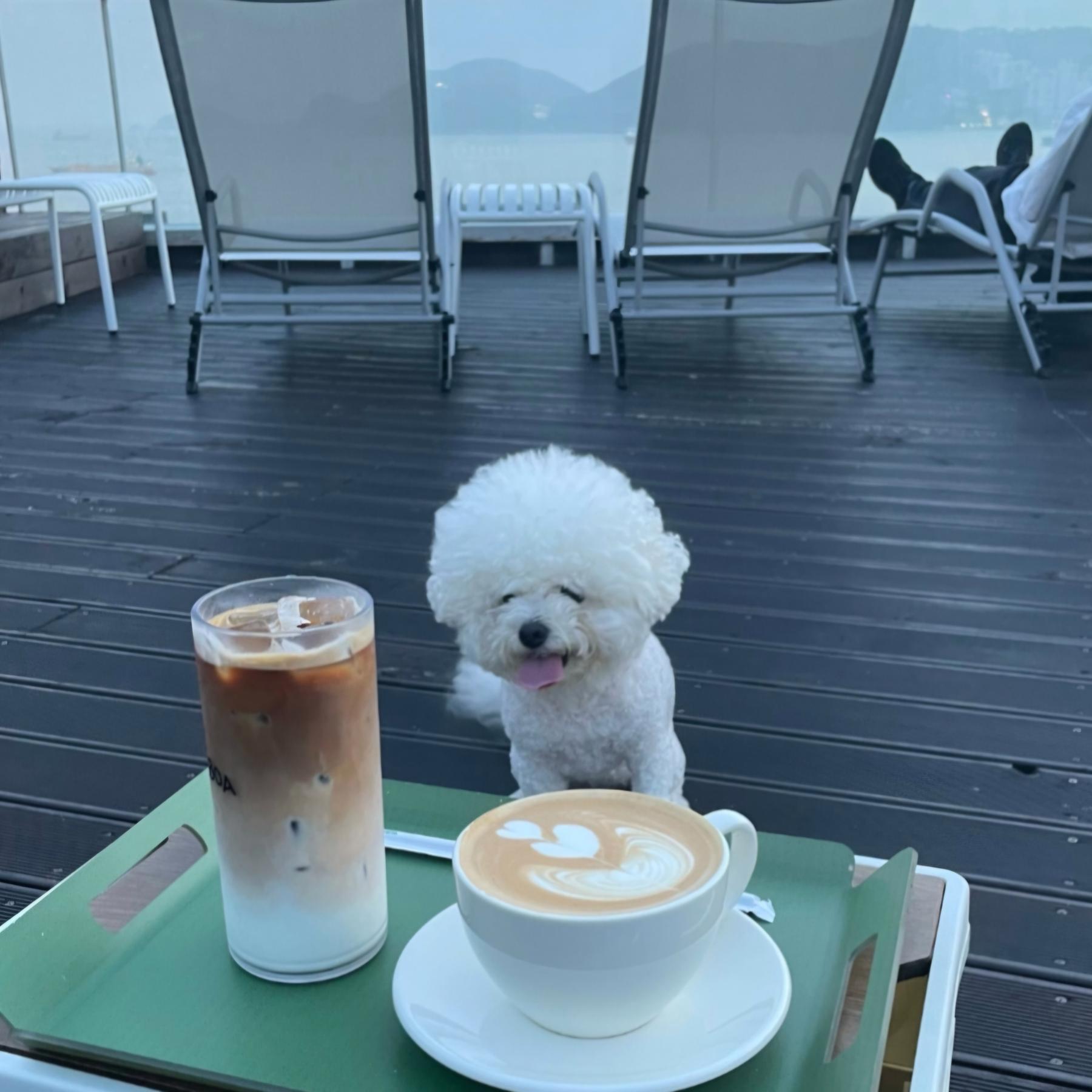 리스보아