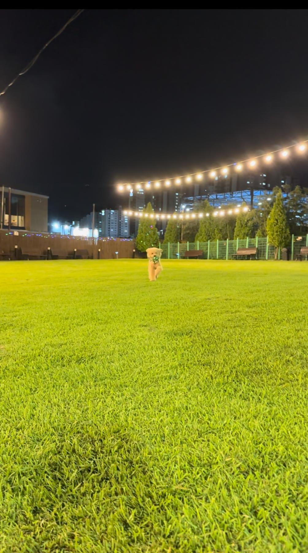 어라운드펫 정관신도시점