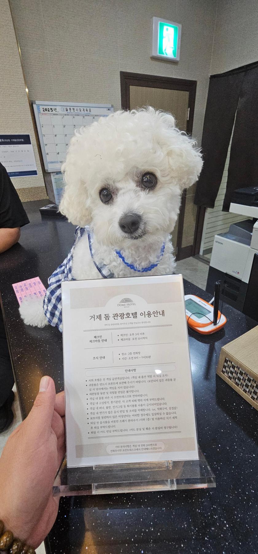 숙소 사진