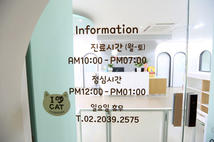 닥터캣 고양이병원