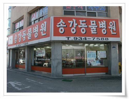 송강동물병원