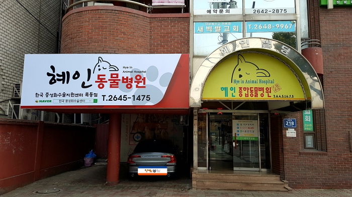 혜인종합동물병원본점