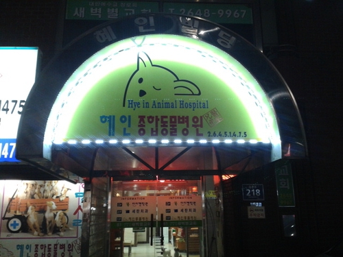 혜인종합동물병원본점