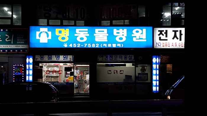 명동물종합병원