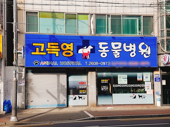 고득영 동물병원