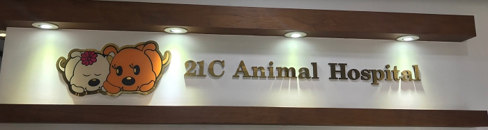 21세기동물병원