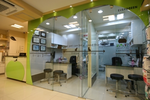 늘푸른동물병원