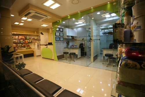 늘푸른동물병원