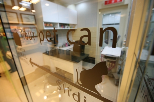 늘푸른동물병원