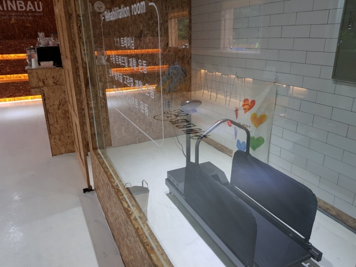 레인바우 세종연서점