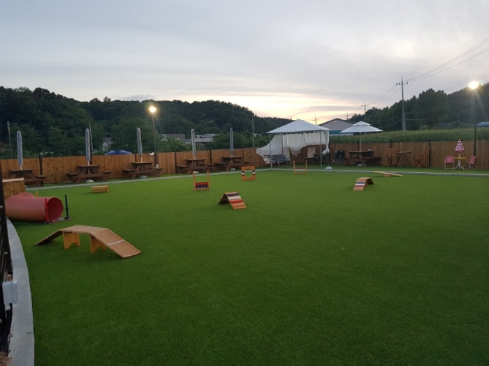 레인바우 세종연서점