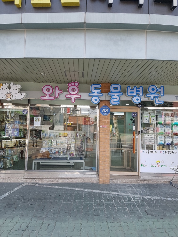 와우동물병원
