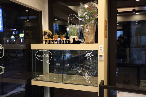 서서울동물병원