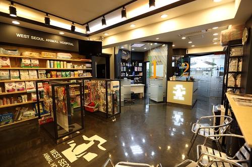 서서울동물병원