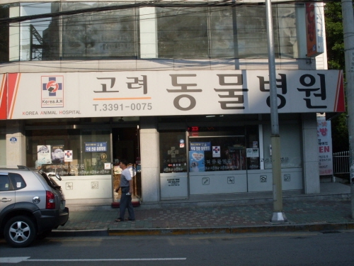 고려동물병원