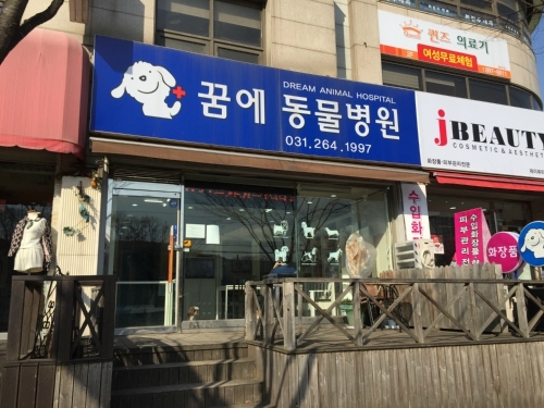 꿈에동물병원