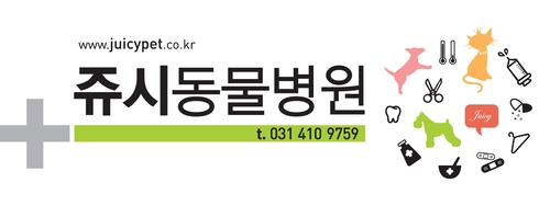 쥬시동물병원