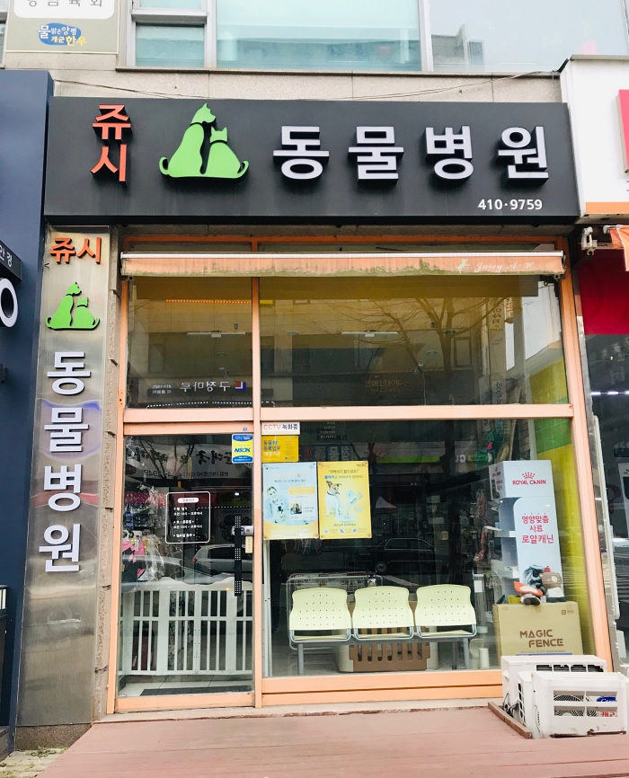 쥬시동물병원
