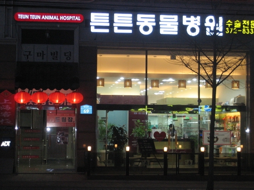 튼튼동물병원