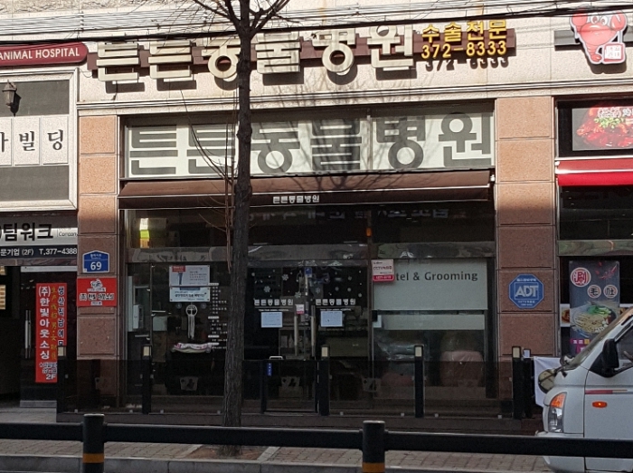 튼튼동물병원