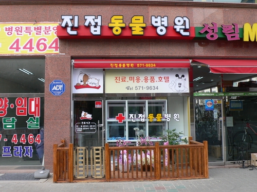 진접동물병원