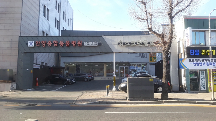안양동물병원