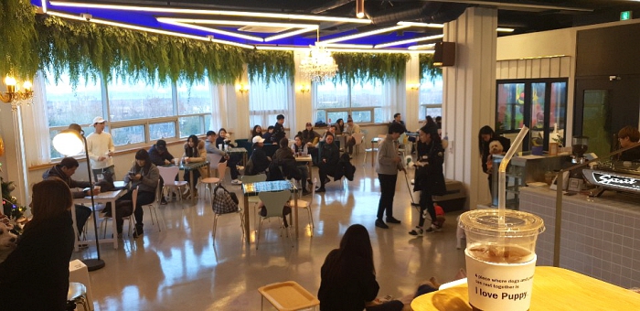 아이러브퍼피 본점