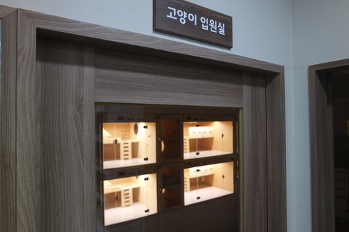 이든동물메디컬