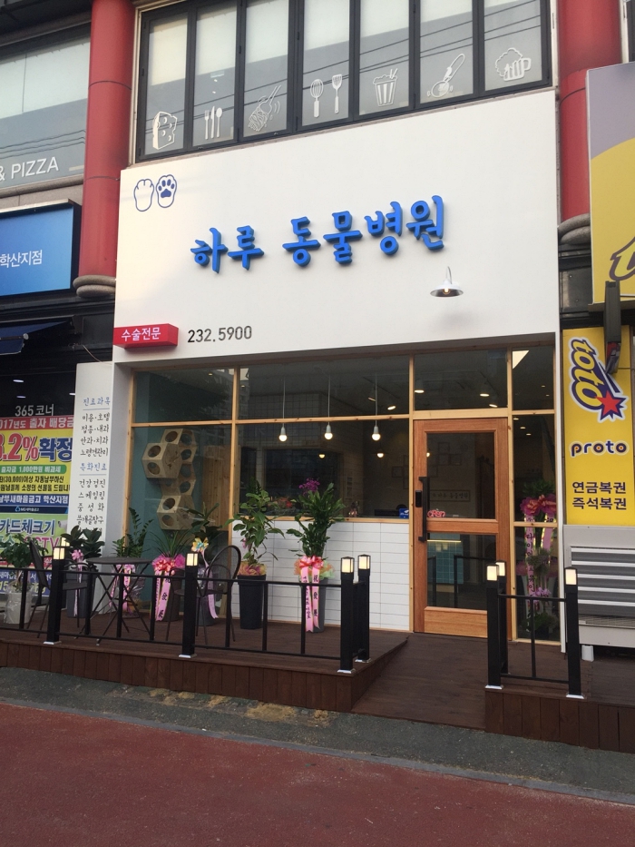 하루동물병원