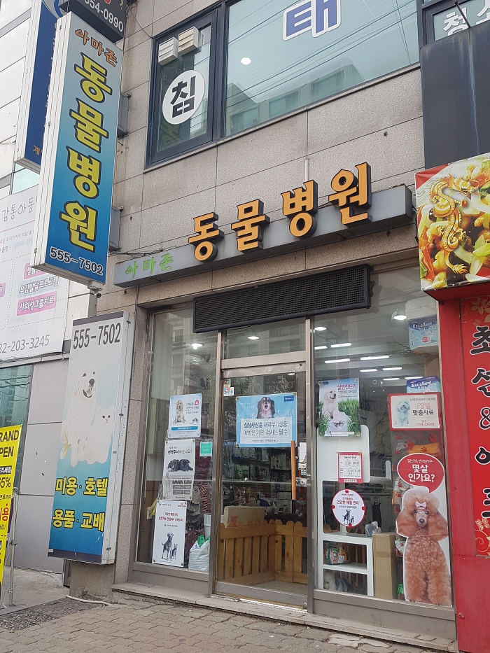 아마존동물병원