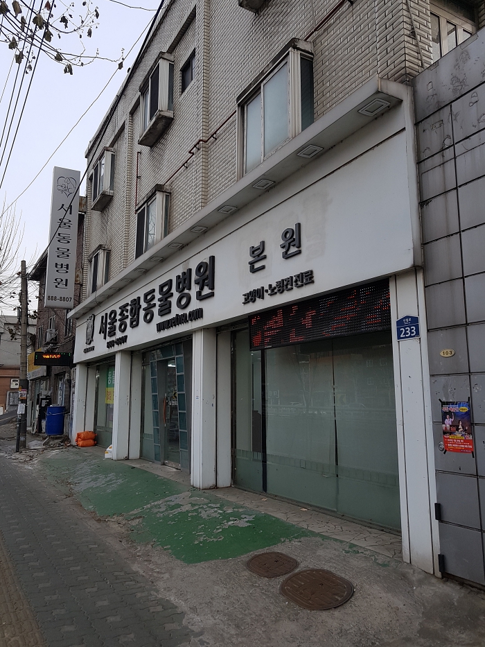 서울종합동물병원본원