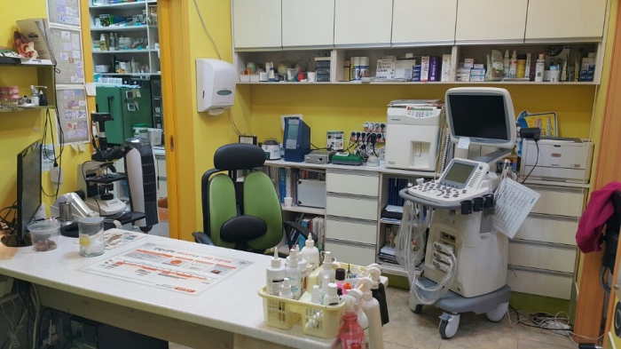 행담동물병원