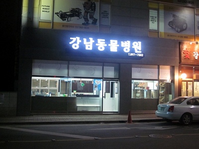 강남동물병원