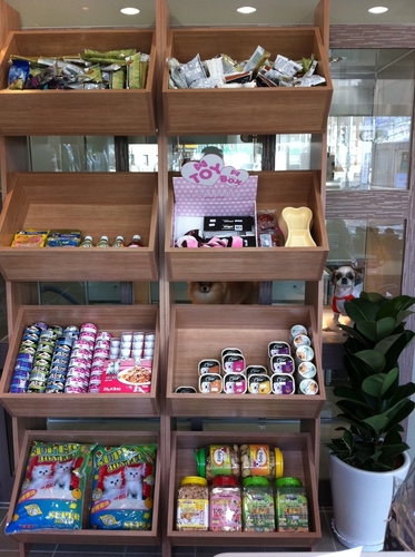 강남동물병원