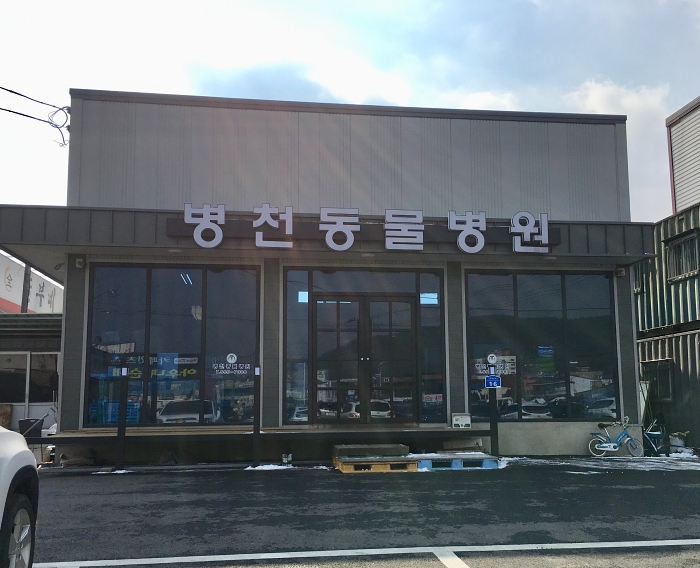 병천동물병원