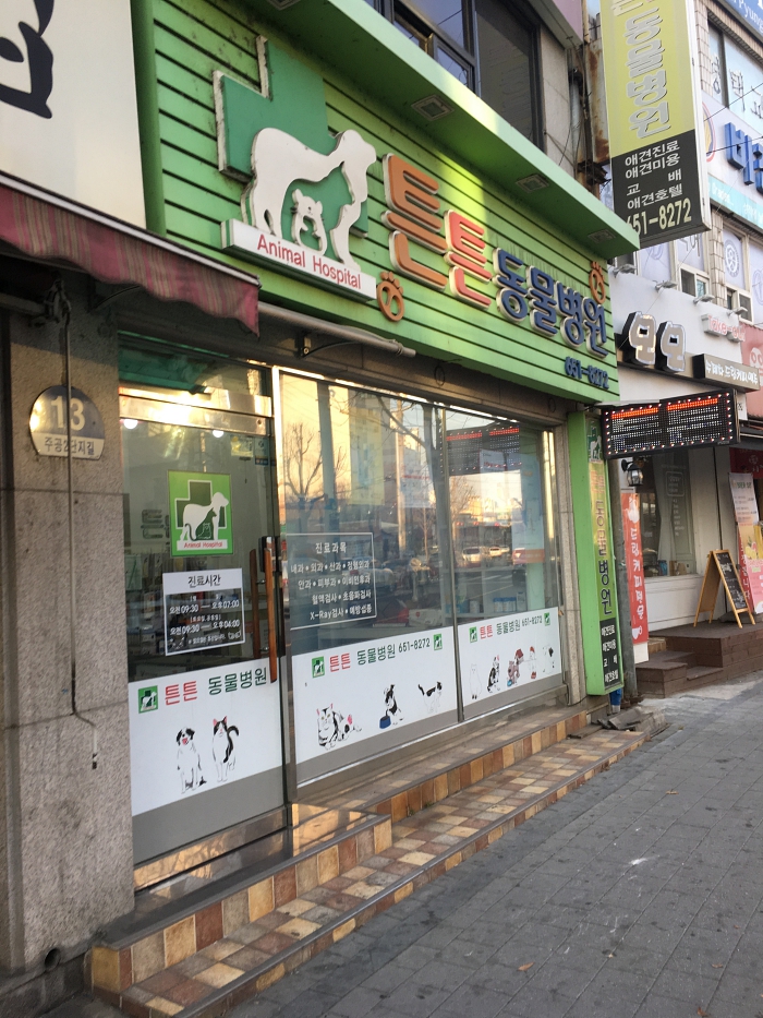 튼튼동물병원