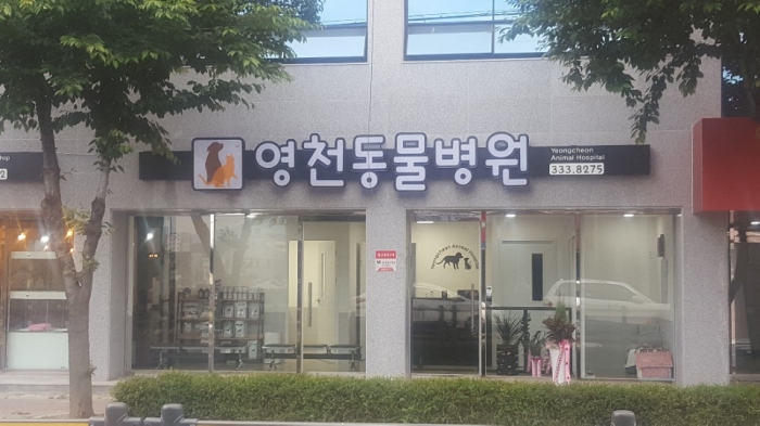 영천동물병원