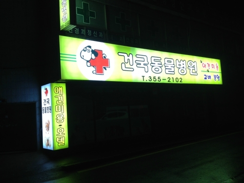 건국동물병원